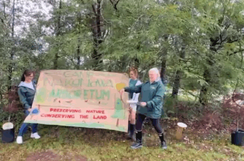 Karen announces Camp Nakanawa Arboretum